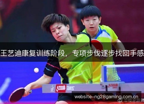 王艺迪康复训练阶段,专项步伐逐步找回手感 王艺迪康复训练阶段,专项步伐逐步找回手感